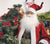 Meet Santa and Mrs. Claus at Bountiful Home December 2!